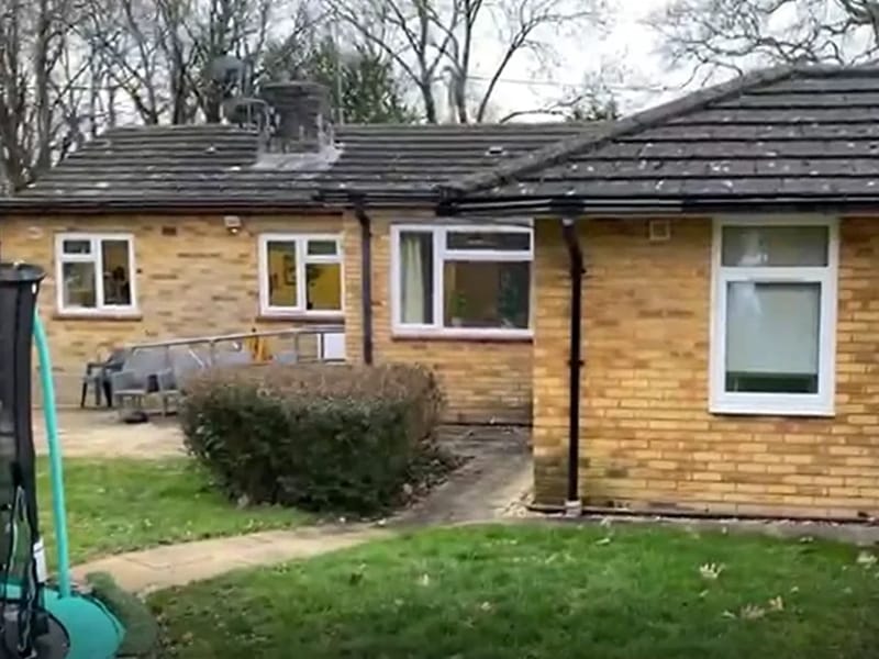 Dryad Spinney in Southampton, England photo 2