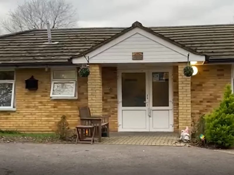 Dryad Spinney in Southampton, England photo 3