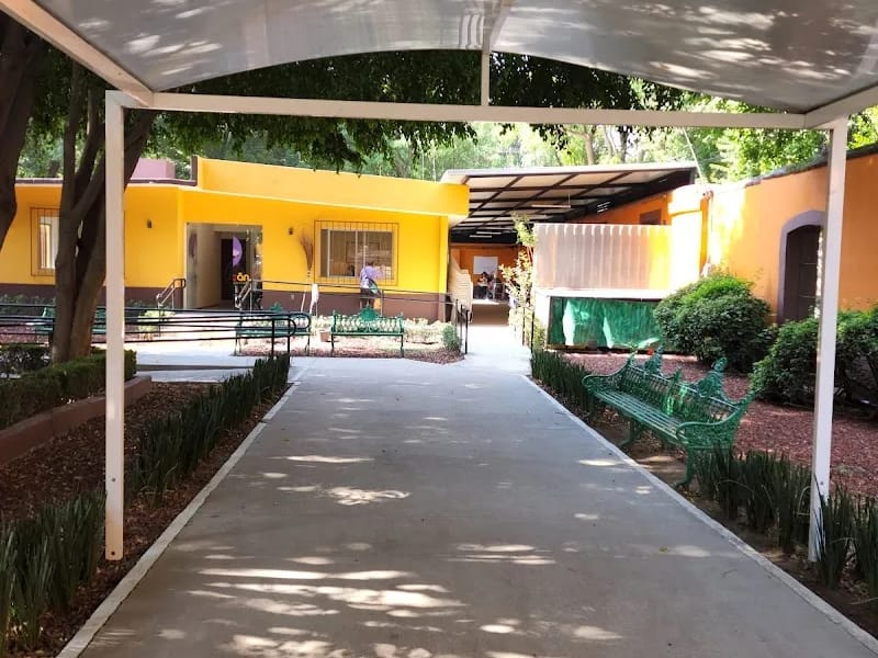 Centro De Medio Dia Para El Adulto Mayor Independiente - Hogar de Ancianos in Coyoacán, Ciudad de México photo 3