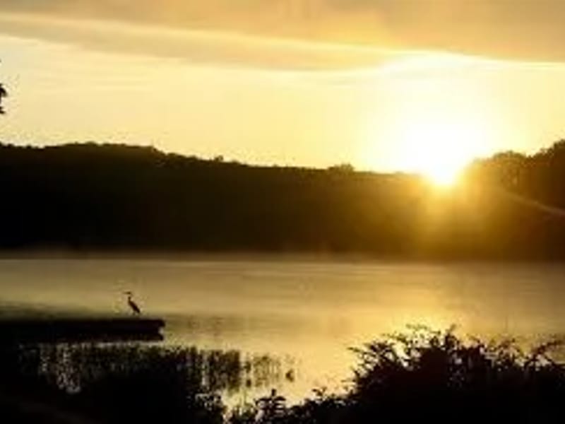 WEF Care in Chesterfield, England photo 2