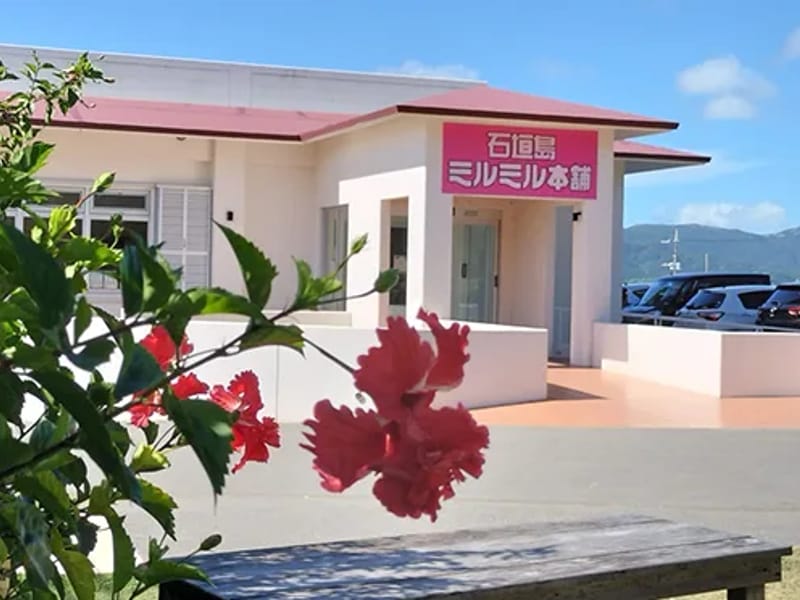 うしおマネジメント - 有料老人ホーム in 石垣市, 沖縄県 photo 2
