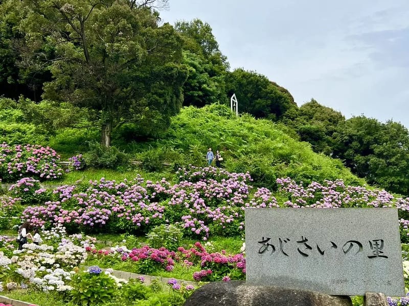 あおいの里 - 有料老人ホーム in 豊川市, 愛知県 photo 1