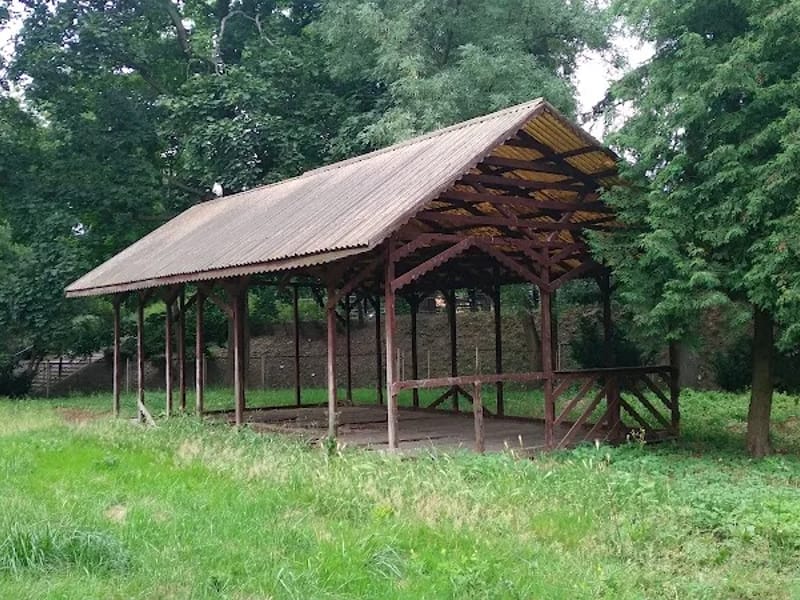 Opieka Długoterminowa Trzebnica - Pielęgniarstwo domowe in Trzebnica, Trzebnica photo 2