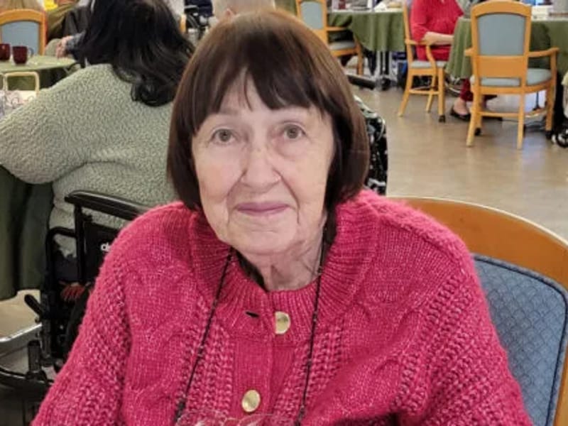 Sharon Brinkman Care Services Ltd - In-Home Care in Spalding, England photo 3
