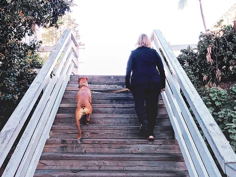 Premier Care Management - Geriatric Care Management in San Diego, CA photo 3