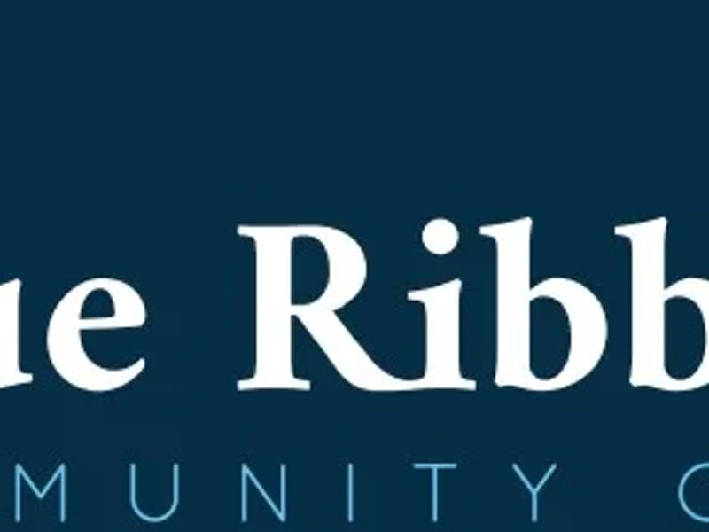 Blue Ribbon Live In Care - In-Home Care in Kingston Upon Thames, England photo 1