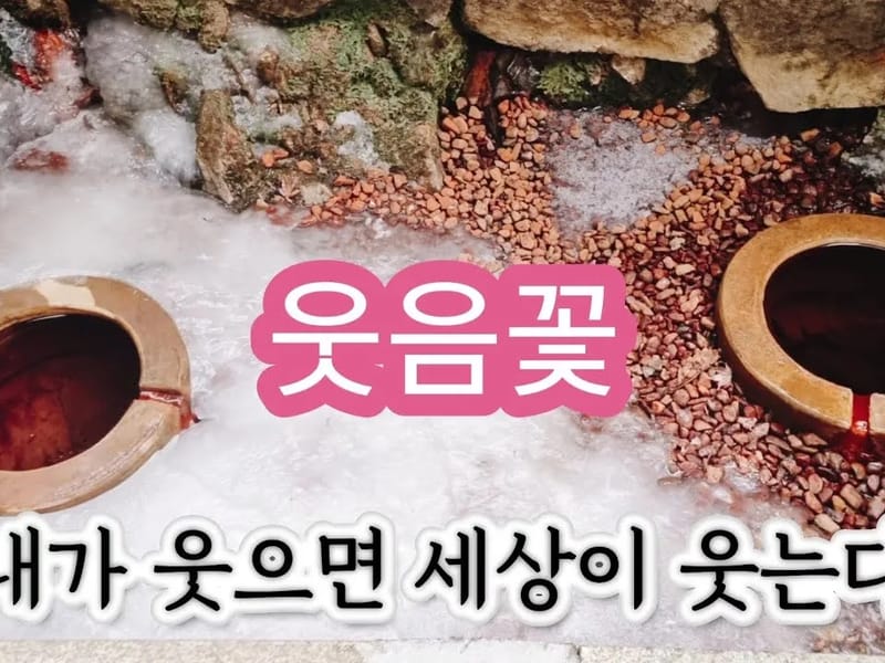 S2웃음드림방문요양센터 - 요양원 in 광진구, 서울특별시 photo 3