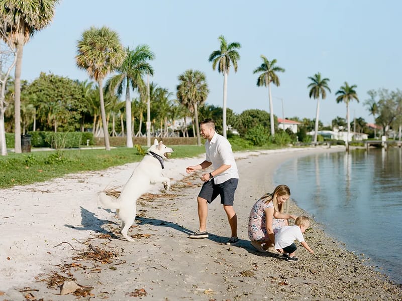 Almost Family PC Of West Palm, LLC - Home Health Nursing in West Palm Beach, FL photo 2