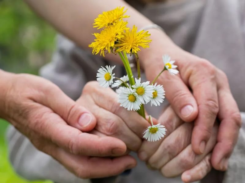 Ambiance Care Federal Place, Llc - Assisted Living in Baltimore, MD photo 3