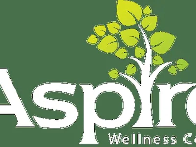 ASPIRE WELLNESS HEALTHCARE INC - Home Health Nursing in Reseda, CA photo 2