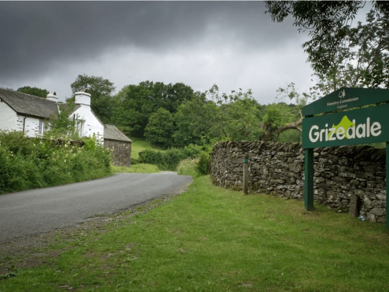 Grizedale - Nursing Home in Consett, England photo 3