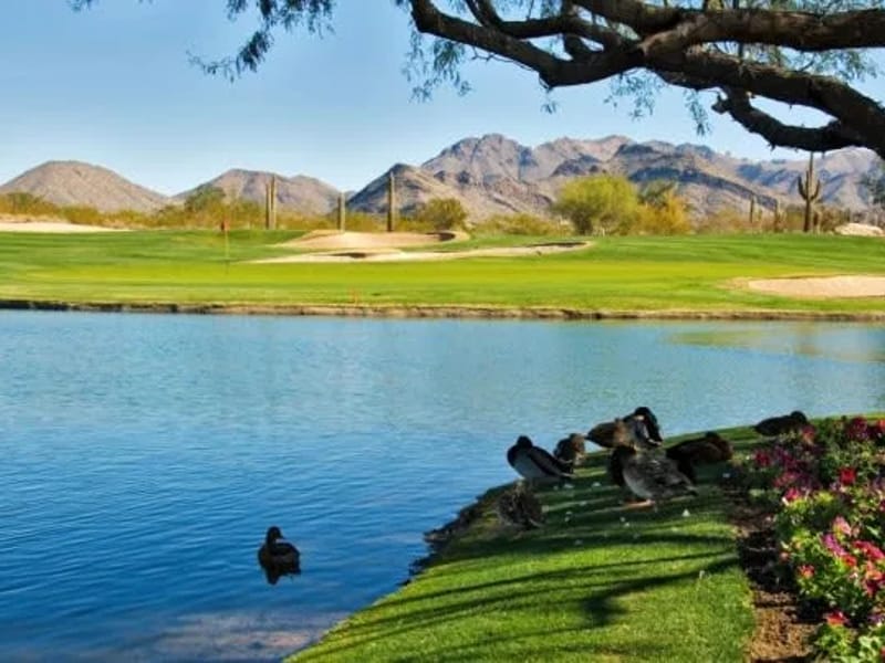 Ahwatukee Adult Care Iii - Assisted Living in Phoenix, AZ photo 1
