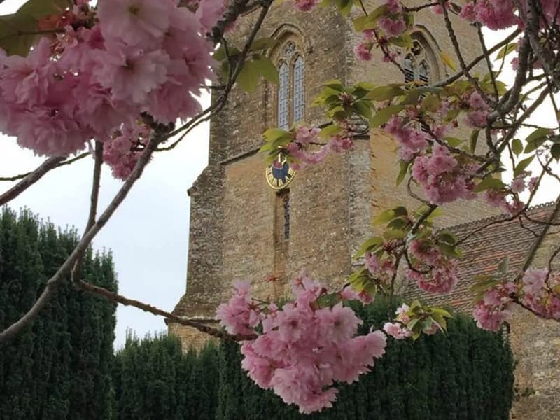 St Judes Care (Yeovil) - In-Home Care in Yeovil, England photo 3