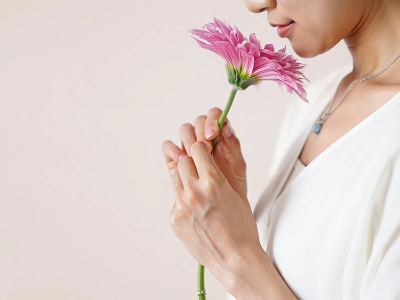 NOVAES E NOVAES GINECOLOGIA E ABSTETRICIA - Cuidado Domiciliar in Vitória, ES photo 1