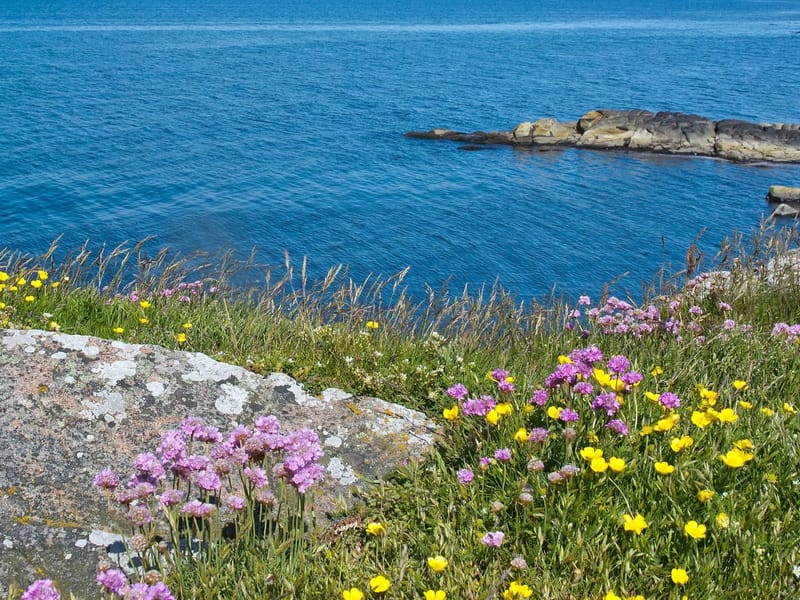 Tallgläntan - Äldreboende in Falkenberg, Hallands län photo 2