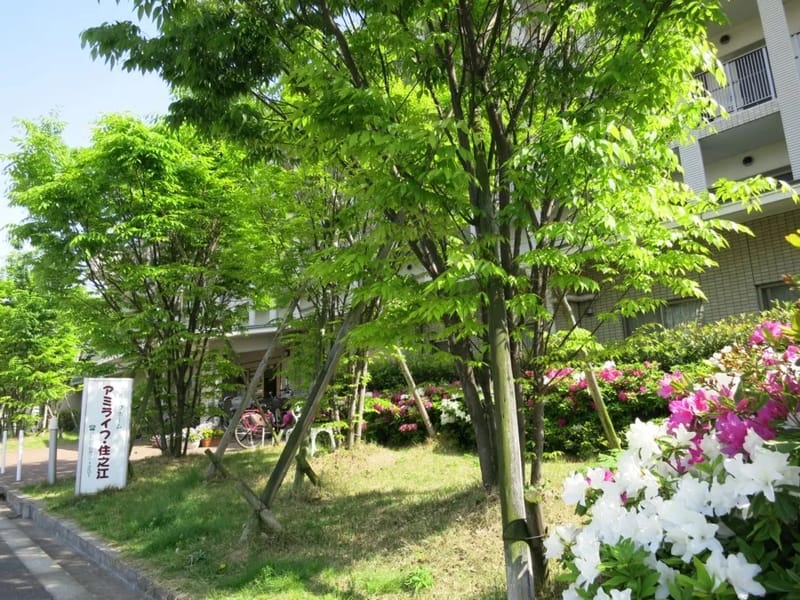 アミライフ・住之江 - 有料老人ホーム in 大阪市住之江区, 大阪府 photo 2