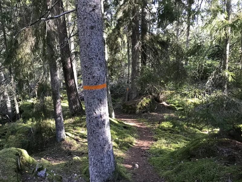 Västerliden - Serviceboende in Kinda, Östergötlands län photo 1