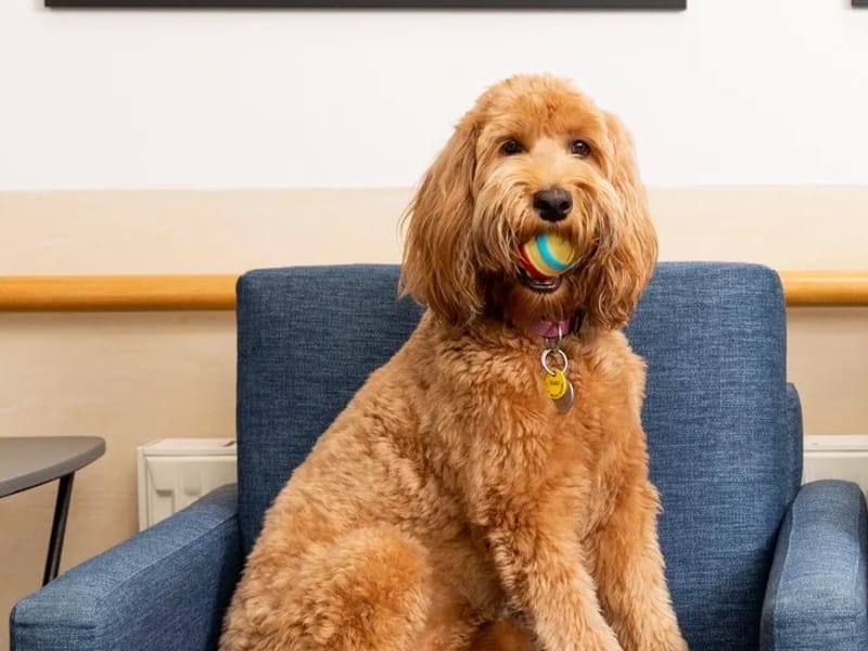 Estia Health Leopold - Nursing Home in Leopold, VIC photo 7