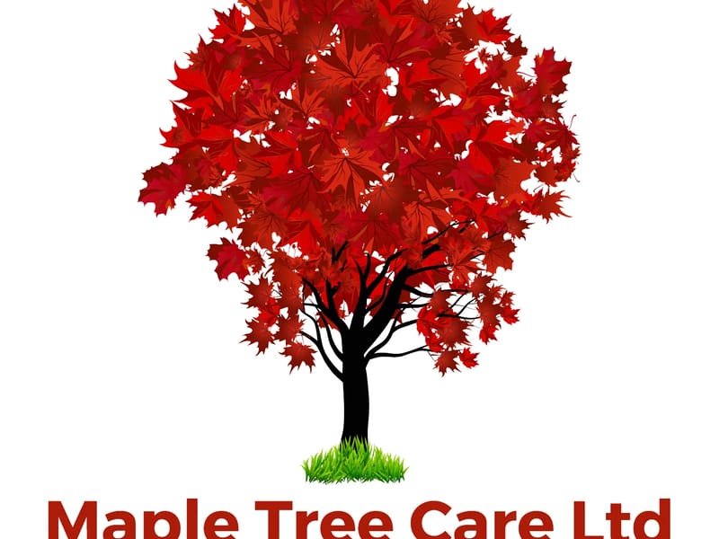 Maple Tree Care Limited - In-Home Care in Dereham, England photo 2