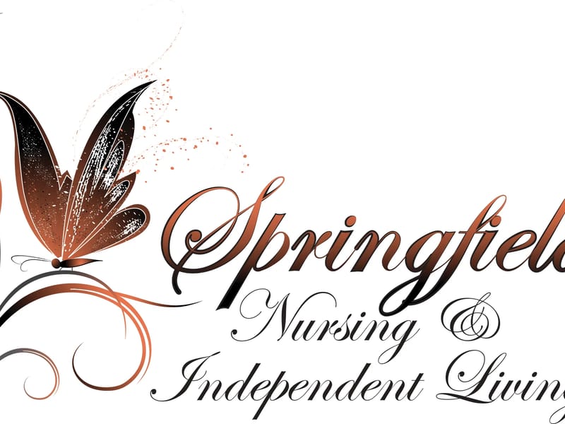AARON NURSING SERVICES INC. - Home Health Nursing in Springfield, IL photo 3