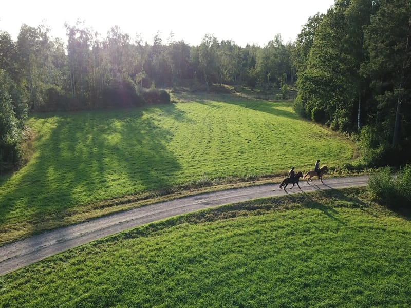 Bockara hemtjänst - Hemtjänst in Oskarshamn, Kalmar län photo 3