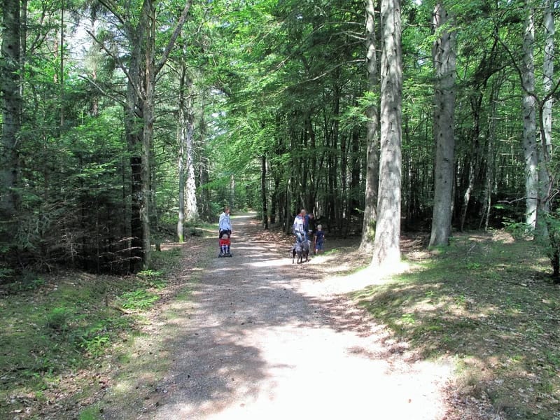 Team Ulfborg - Hjemmesygepleje in Holstebro, Region Midtjylland photo 2