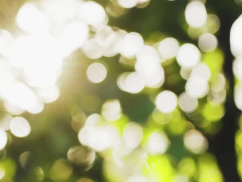 Acacia Home Health Services - Home Health Nursing in Glendale, CA photo 1