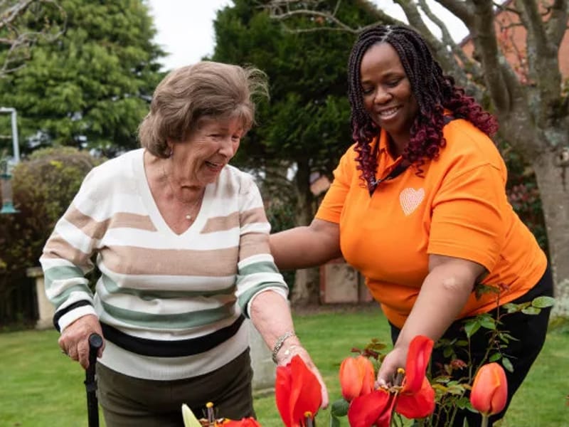 Sylvian Care Havering South in Rainham, England photo 2