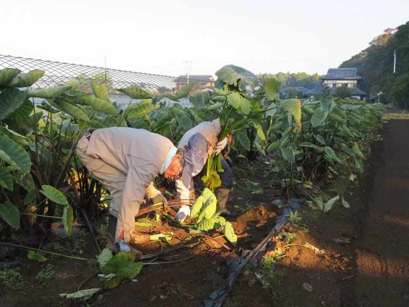 やまぶき居宅介護支援事業所 - 有料老人ホーム in 水戸市, 茨城県 photo 2