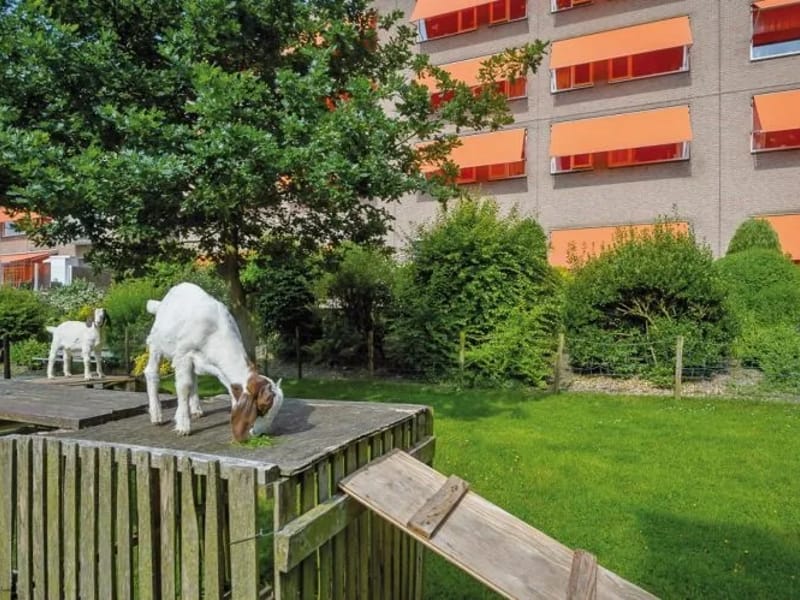 Laurens Huize Sint Petrus - Begeleid Wonen in Berkel En Rodenrijs, Zuid-Holland photo 1