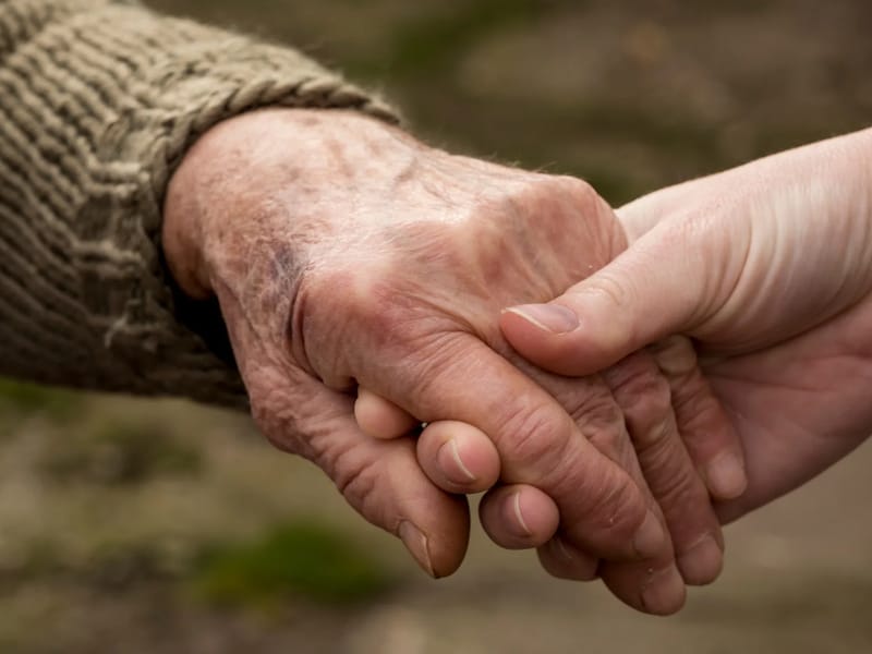 A Ray of Care, LLC - Geriatric Care Management in Fleming, PA photo 1