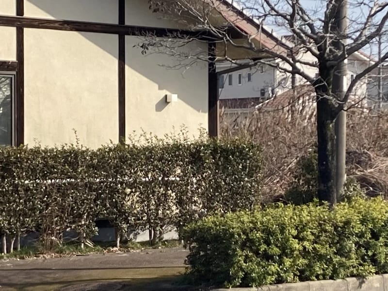 こがグループホーム野伏間 - 認知症ケア in 久留米市, 福岡県 photo 3