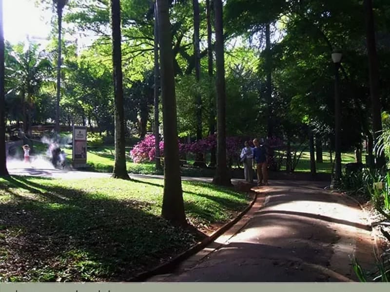 Centro del Parque - Vida Asistida in Buenos Aires, CABA photo 3