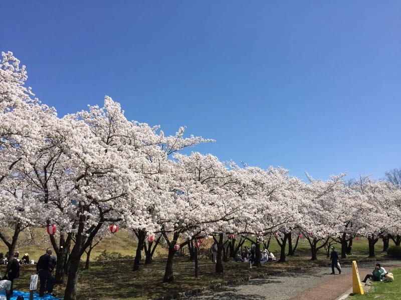 さわやか川中島 - 有料老人ホーム in 長野市, 長野県 photo 3