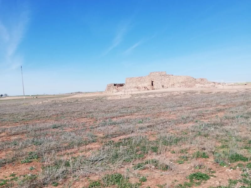RESIDENCIA DE MAYORES AZUER - Hogar de Ancianos in Daimiel, Castilla-La Mancha photo 1