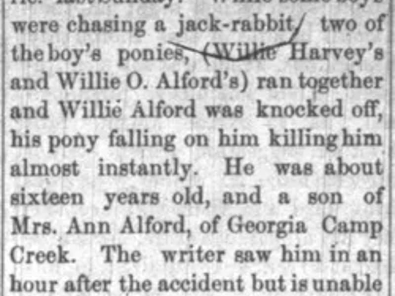 Swallowdale - Assisted Living in Alford, England photo 2