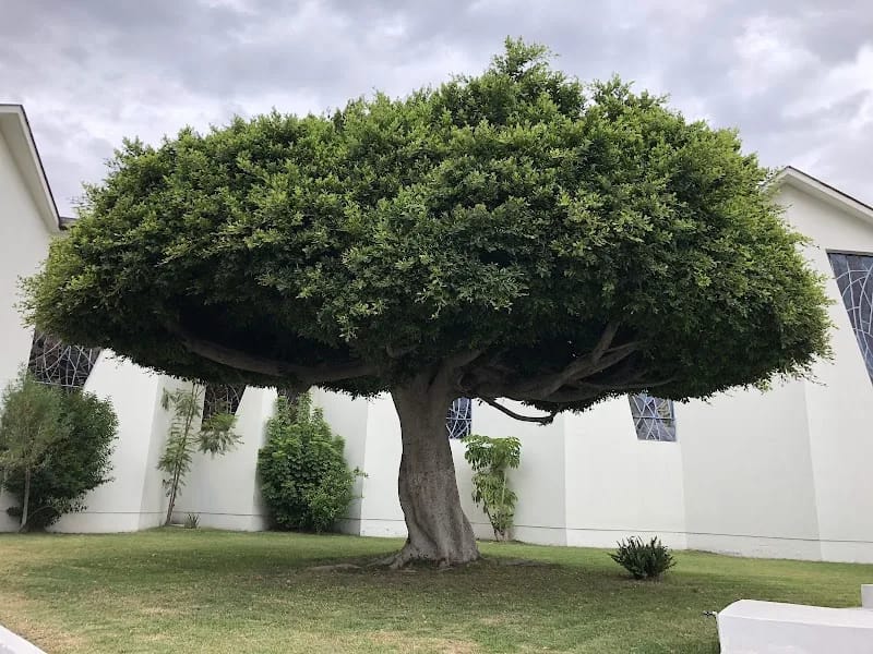 Tres Aves Marias - Hogar de Ancianos in San Luis Potosí, San Luis Potosí photo 5