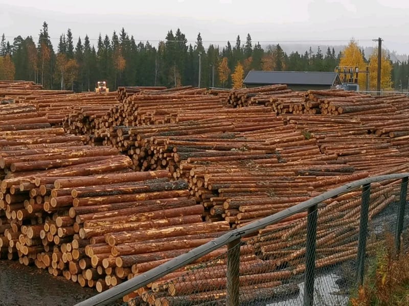 Backsippan - Äldreboende in Ljusdal, Gävleborgs län photo 2