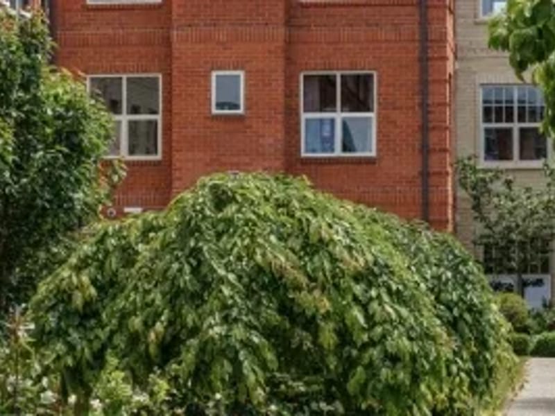 Yvette Williams Retirement Village Limited - Assisted Living in Dunedin, Southern District Health Board photo 3