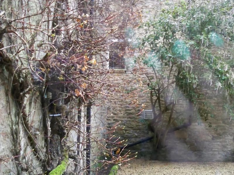 Blue Arch Homecare (Chippenham) - In-Home Care in Chippenham, England photo 2