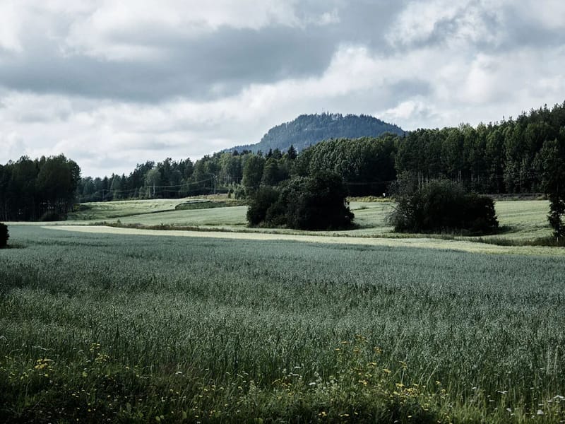 Ljustagården - Äldreboende in Sundsvall, Västernorrlands län photo 2