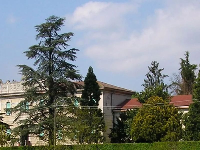 Fondazione Bruno Pari Onlus - Casa di Riposo in Ostiano, Lombardia photo 3
