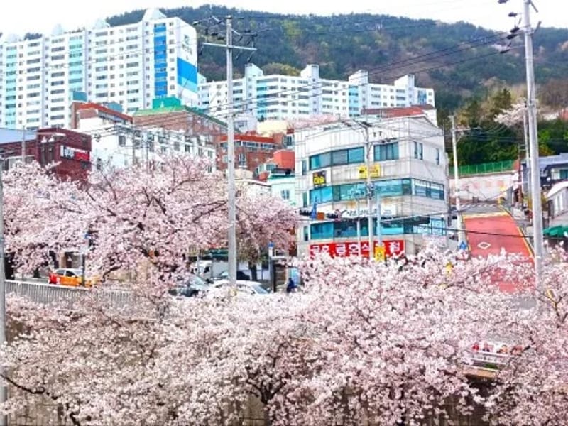가안방문요양센터 - 방문요양 in 사하구, 부산광역시 photo 1