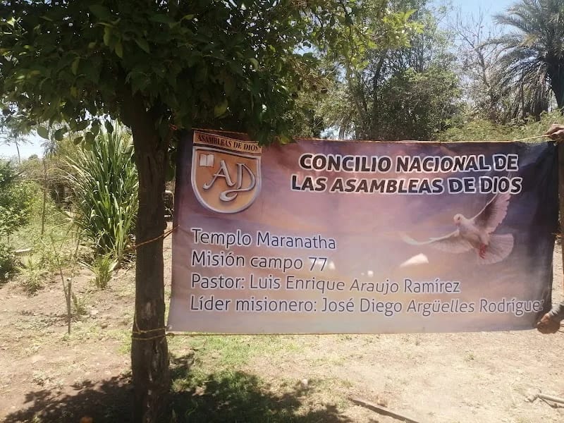 CENTRO COMUNITARIO CAMPO 77 - Hogar de Ancianos in Bácum, Sonora photo 1