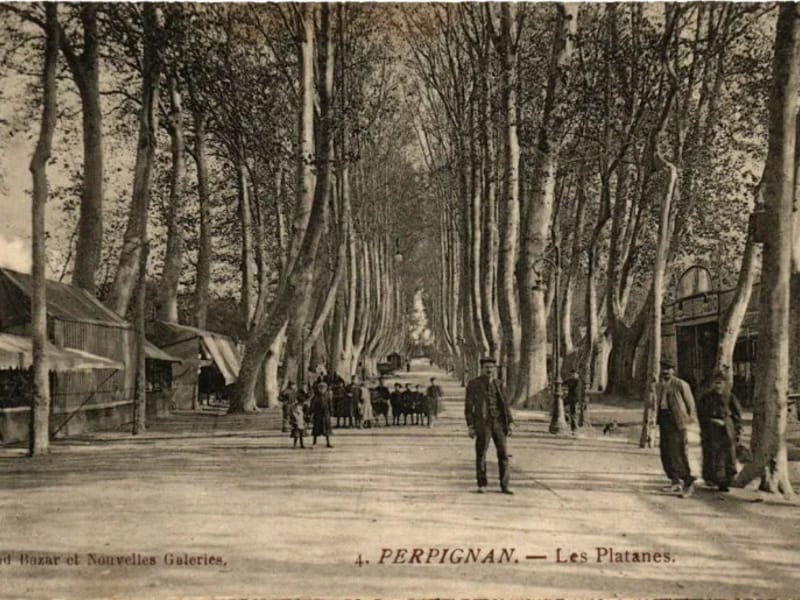 Caj Le Grand Platane Perpignan - Accueil de Jour in PERPIGNAN, Occitanie photo 1