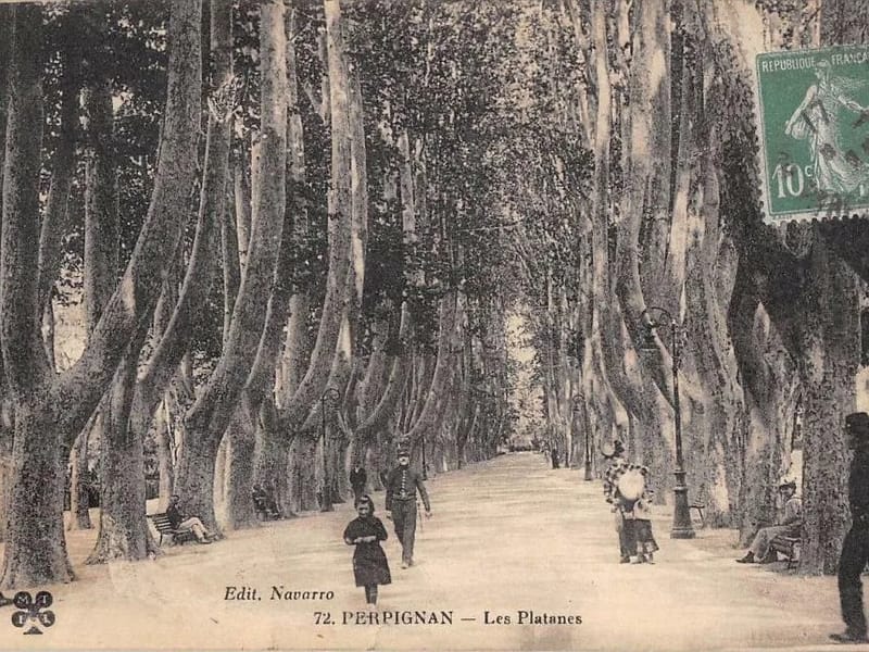 Caj Le Grand Platane Perpignan - Accueil de Jour in PERPIGNAN, Occitanie photo 2