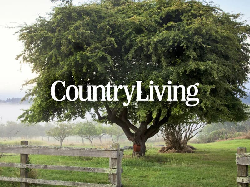 Aggies Country Living Llc - Assisted Living in Bloomer, WI photo 1