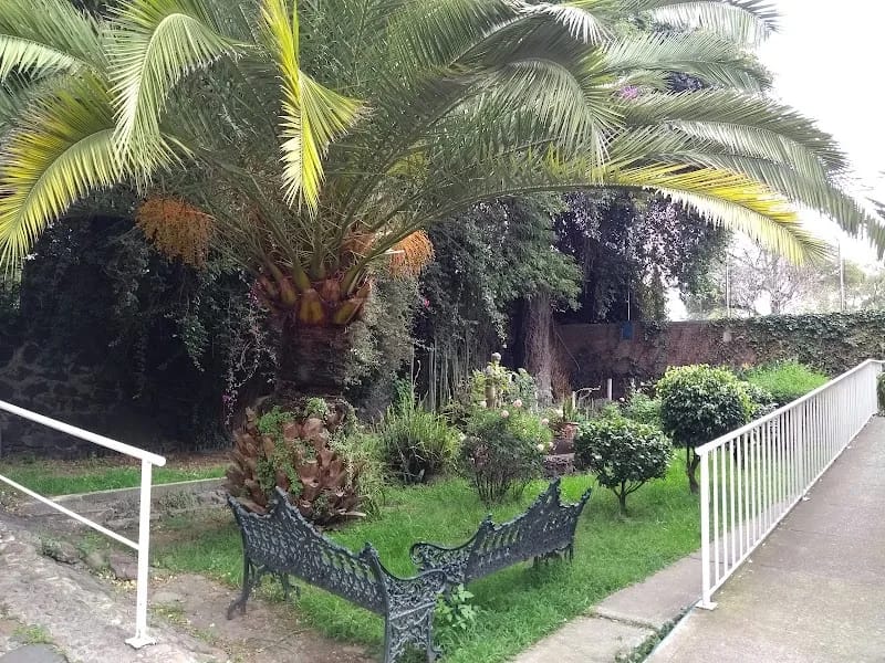 CASA HOGAR UN GRANITO DE ARENA A. C - Vida Asistida in Tlalpan, Ciudad de México photo 4