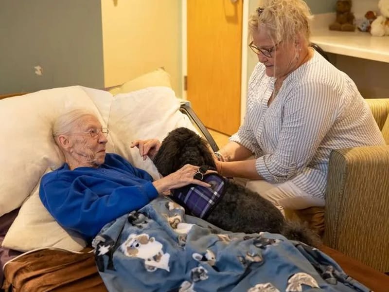 Catholic Community Hospice - Hospice in Kansas City, MO photo 2
