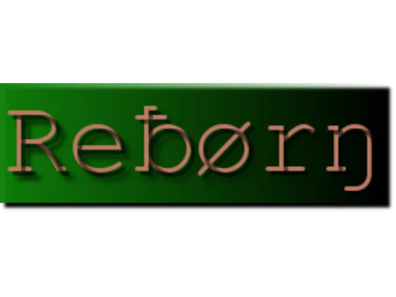 りぼーんReBORN - 訪問介護 in 大阪市城東区, 大阪府 photo 1